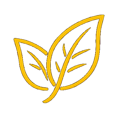 Fresh spices icon